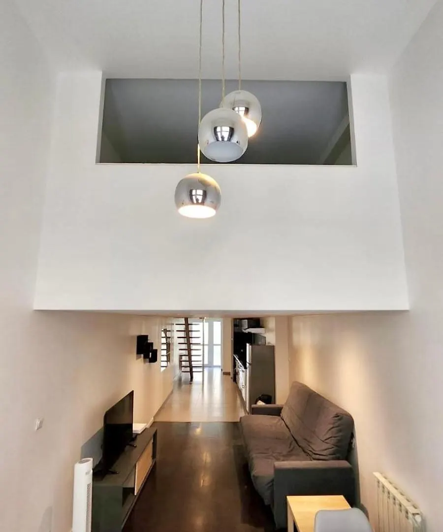 Loft En Duplex Apartman Villeurbanne